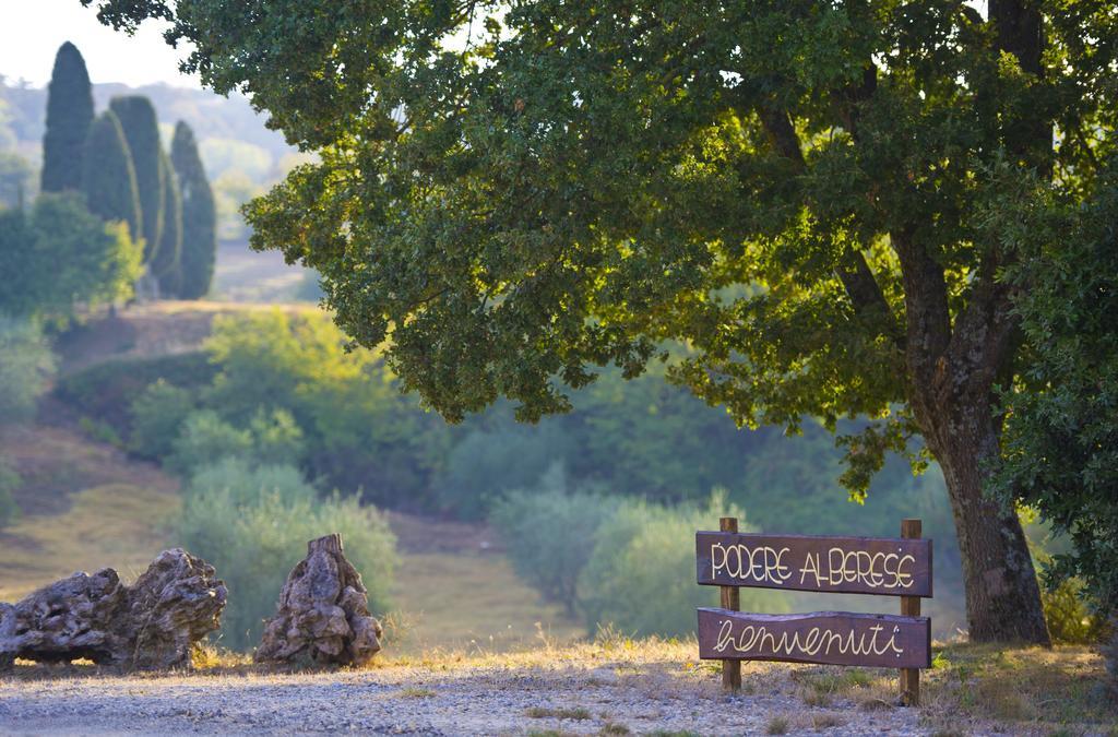 Agriturismo Podere Alberese Asciano Eksteriør bilde