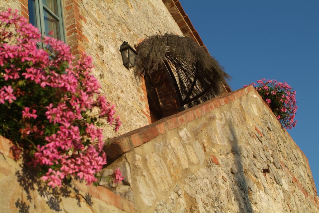 Agriturismo Podere Alberese Asciano Eksteriør bilde